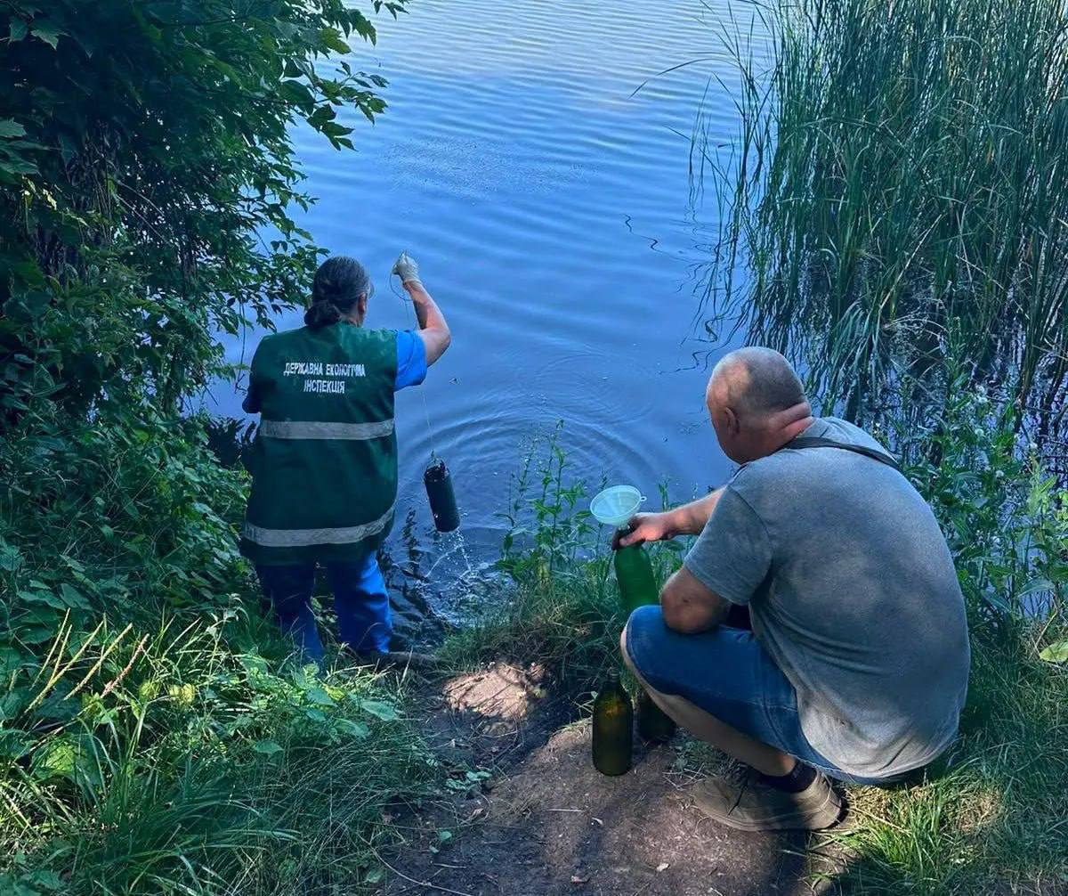 В Борщагівській громаді надзвичайна ситуація – у водоймах загинуло 3 тонни риби