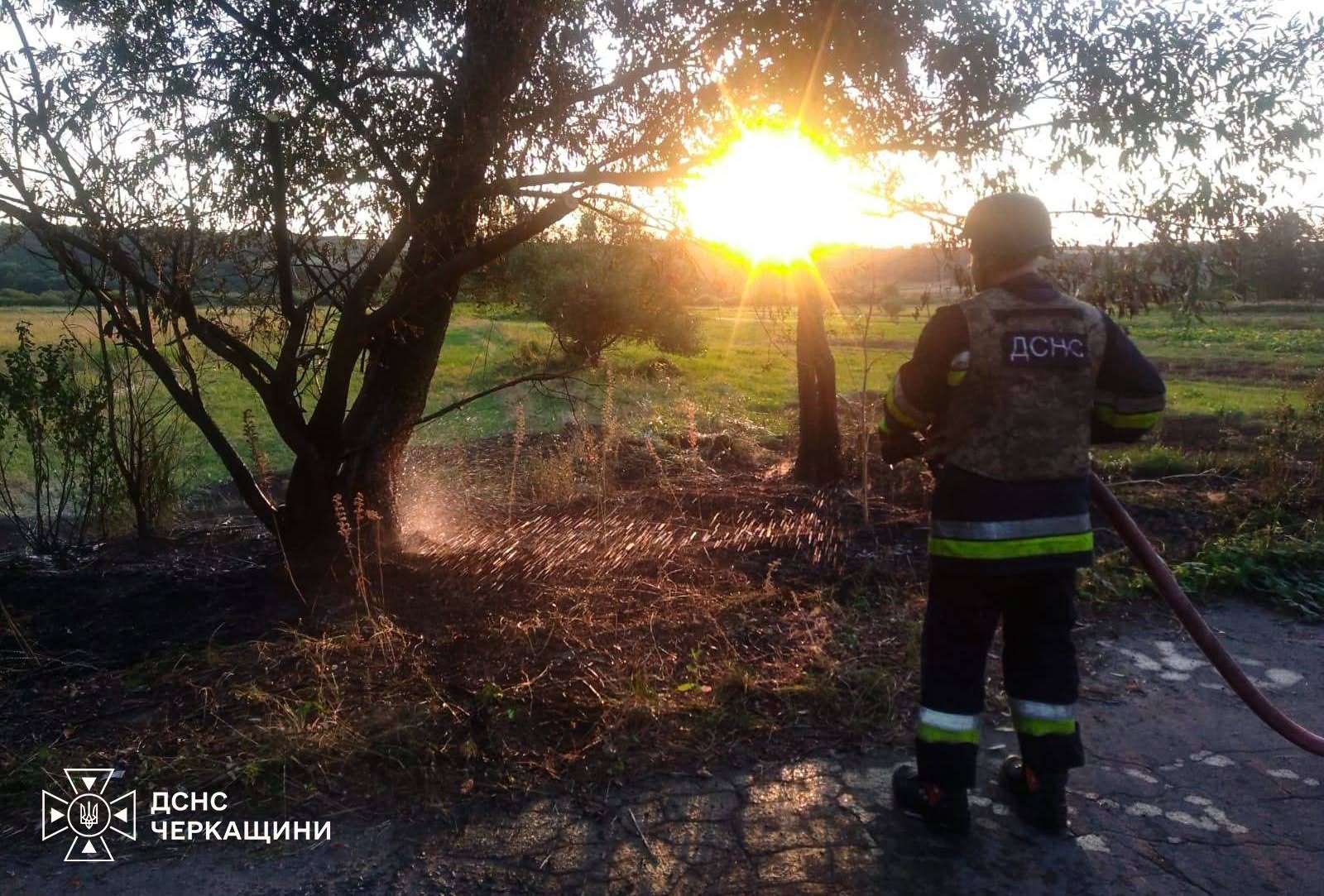 15 пожеж ліквідували на Черкащині, вогонь перекинувся на споруди - фото 3