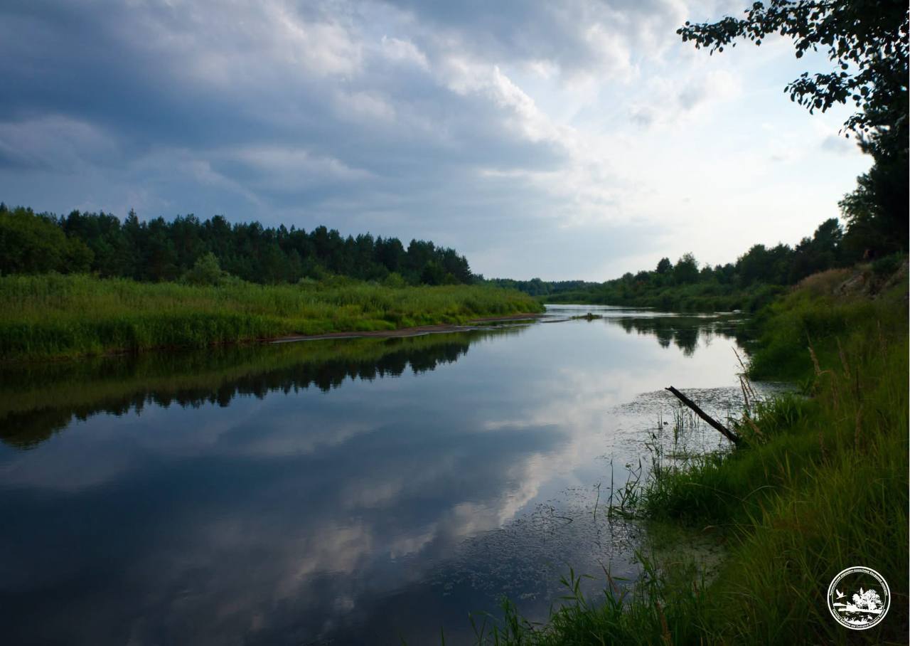 У водоймах Чорнобильського заповідника зафіксували рідкісних червонокнижних риб