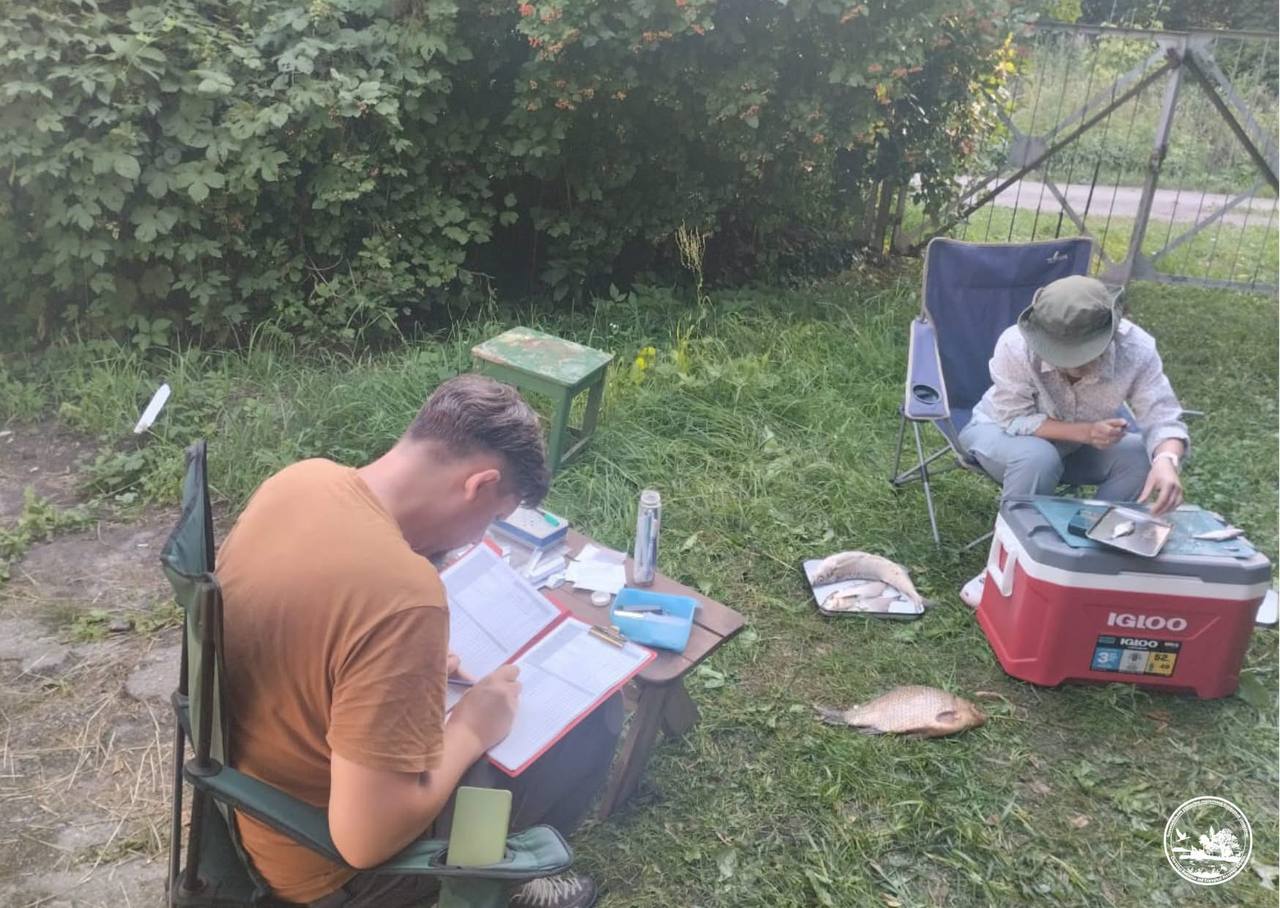 У водоймах Чорнобильського заповідника зафіксували рідкісних червонокнижних риб - фото 3