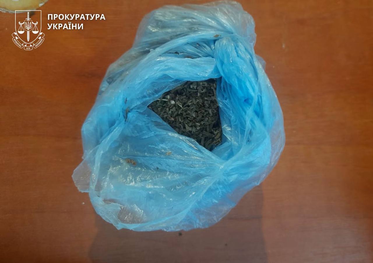 Судитимуть жінку з Черкащини, в якої знайшли боєприпаси - фото 2