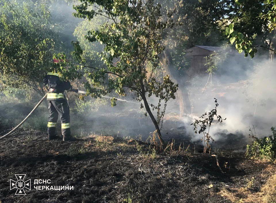 На Черкащині вогонь з трави перекинувся на будівлі - фото 2