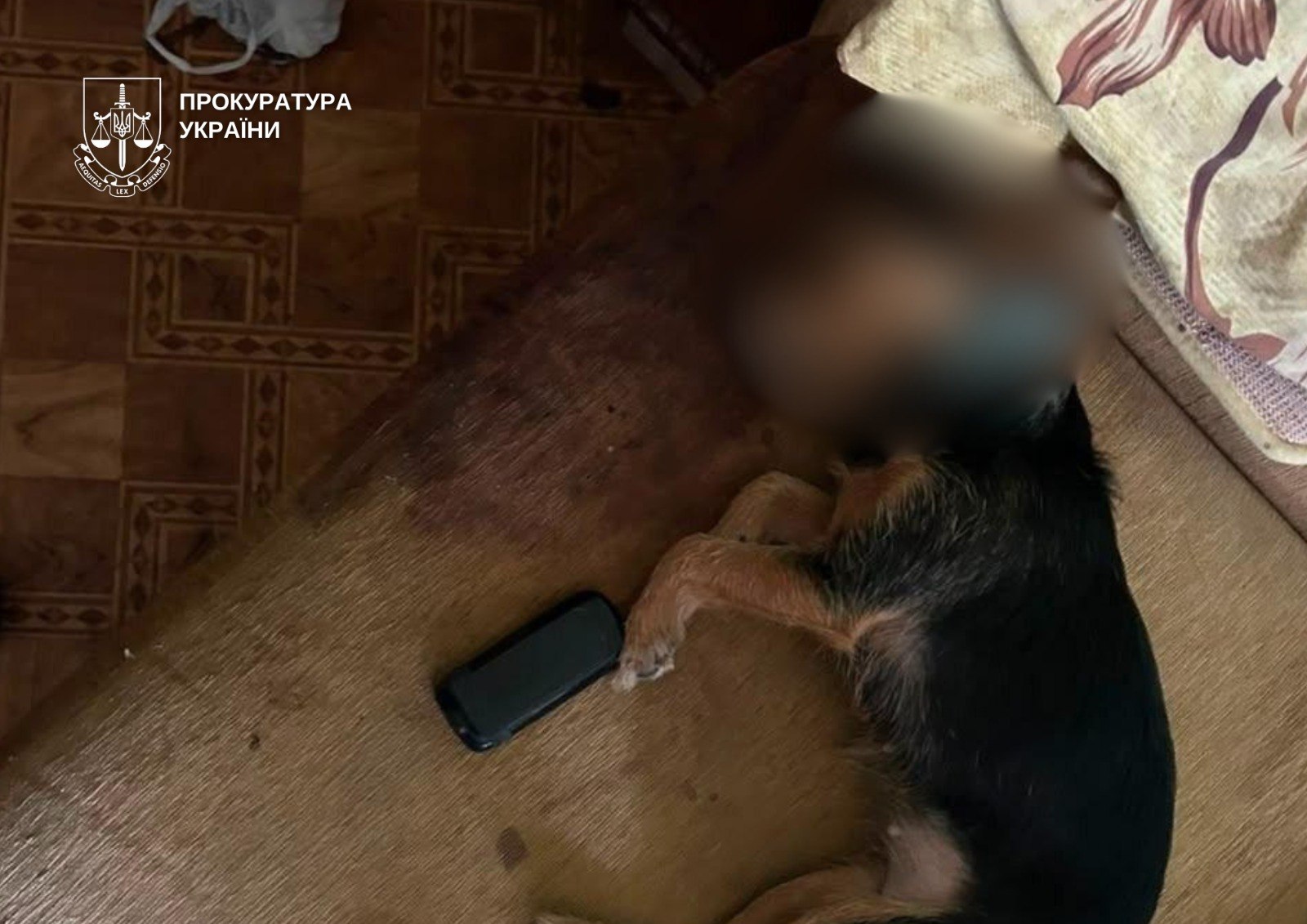У Києві жінка викинула собаку з вікна на 4-му поверсі. Тварина загинула