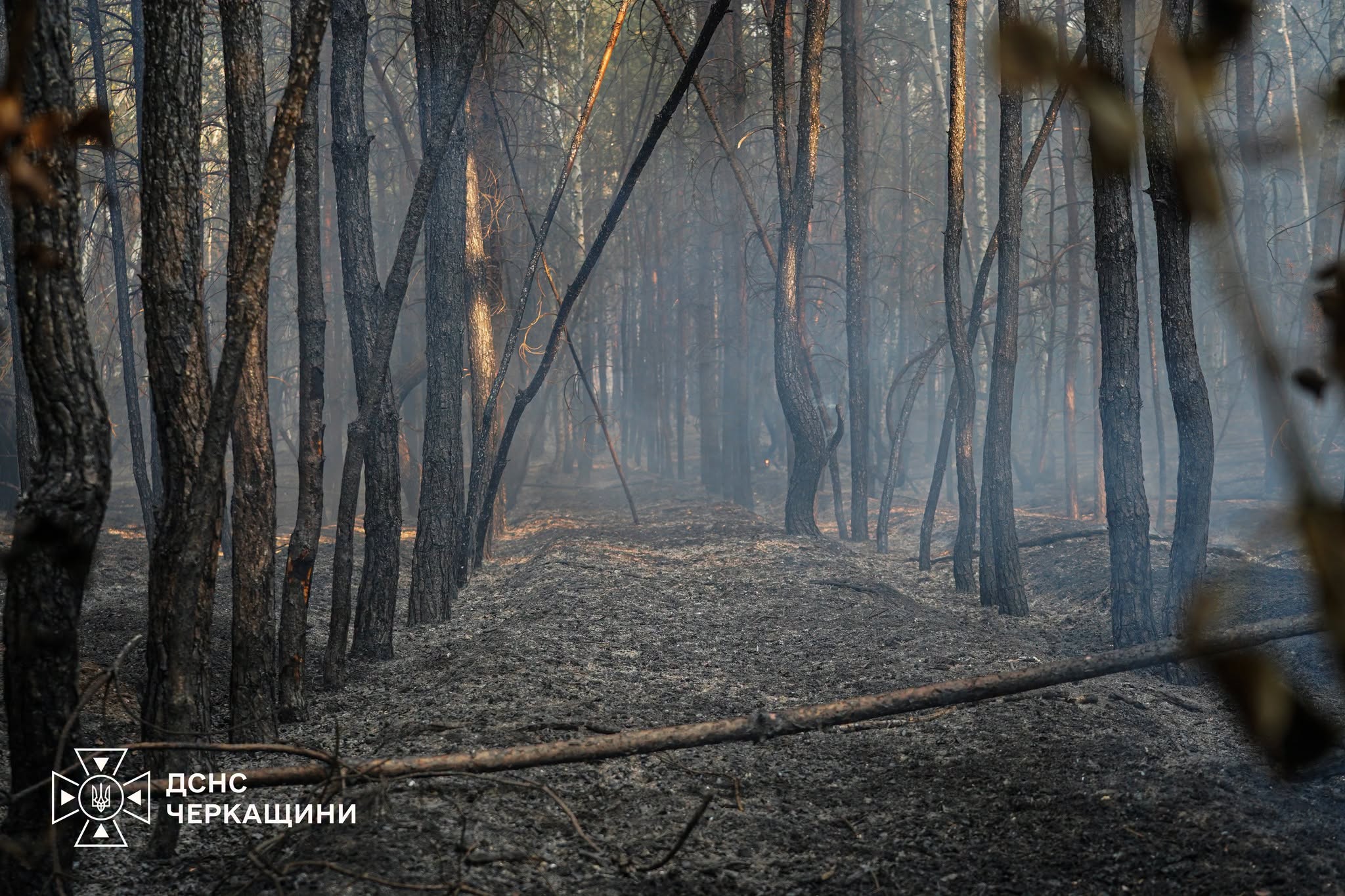 На Черкащині п’ятий день гасять масштабну лісову пожежу - фото 2