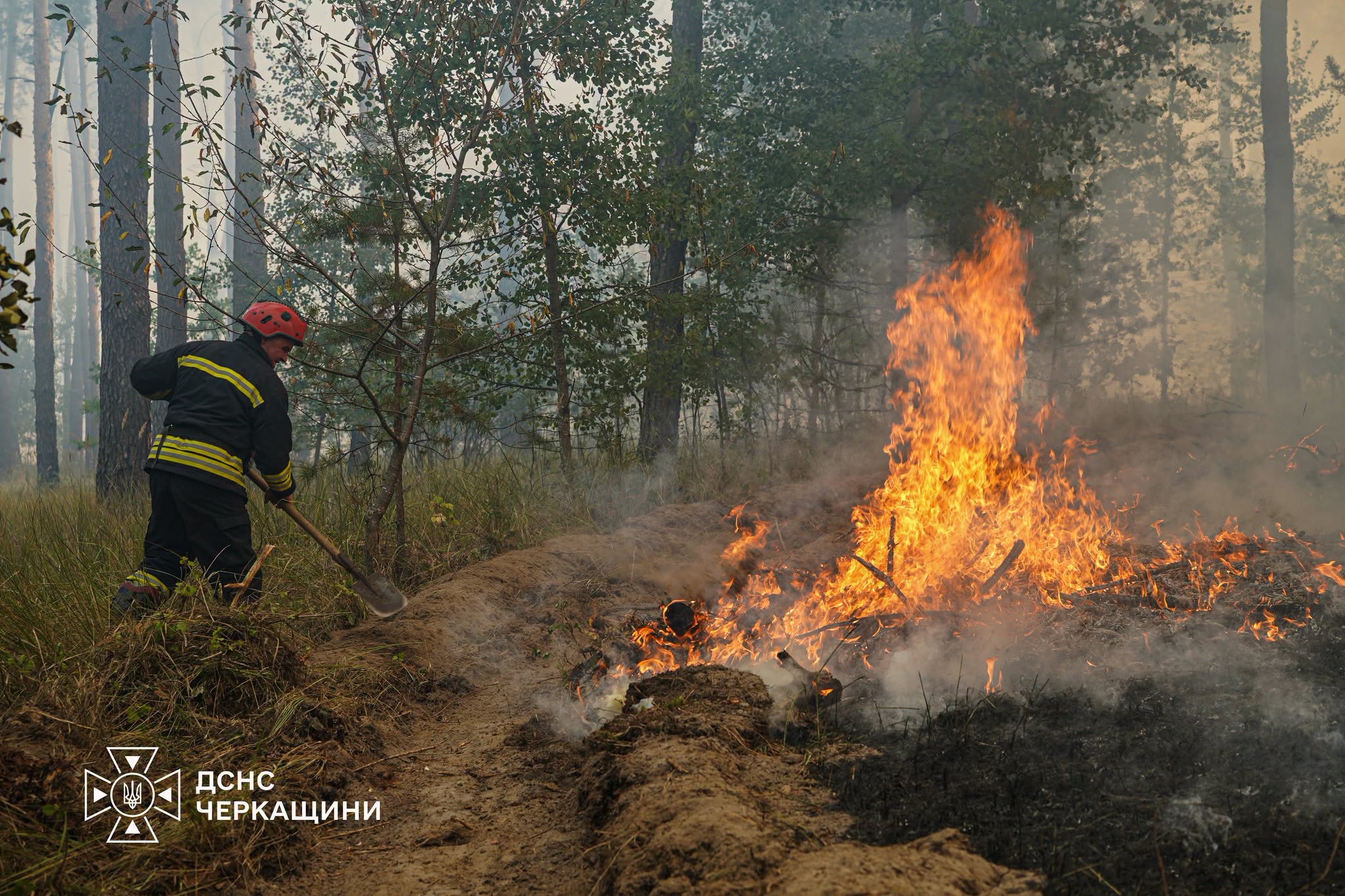 На Черкащині п’ятий день гасять масштабну лісову пожежу - фото 4