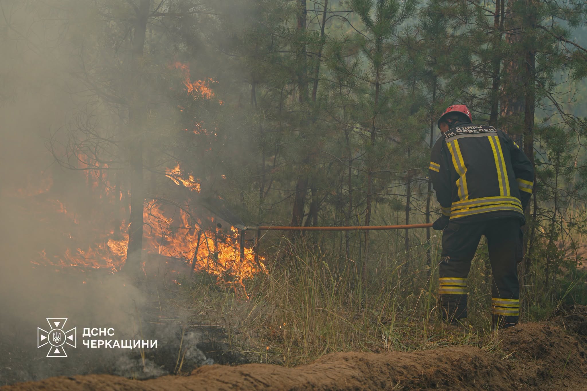 На Черкащині п’ятий день гасять масштабну лісову пожежу - фото 7