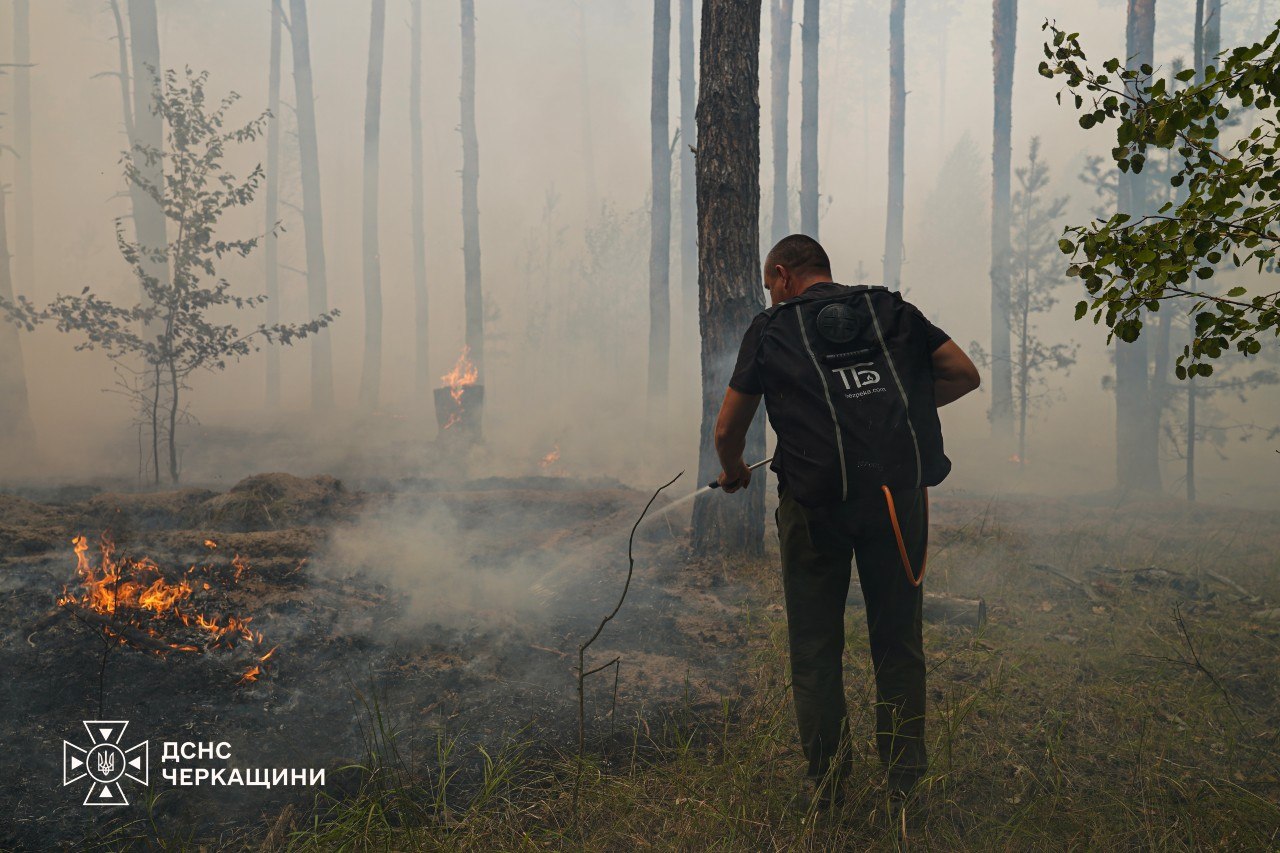Ліквідували масштабну лісову пожежу у селі Кумейки Черкаського району - фото 4