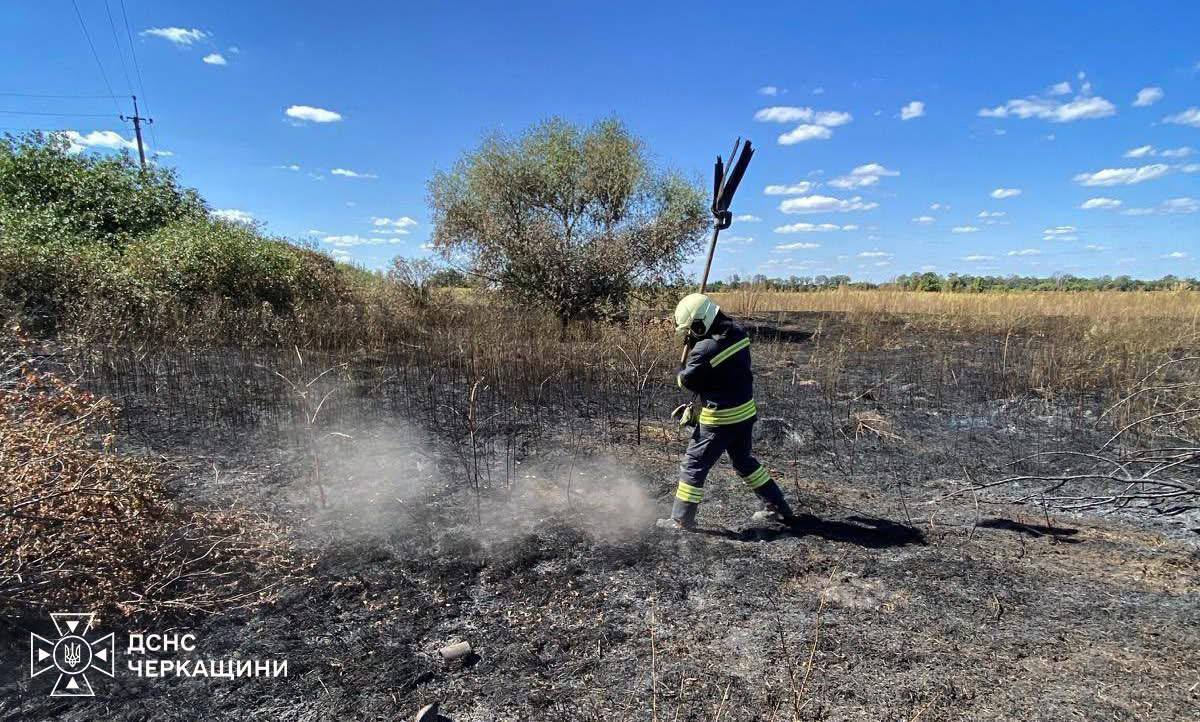 За добу в Черкаській області вигоріло понад 12 гектарів сухої трави