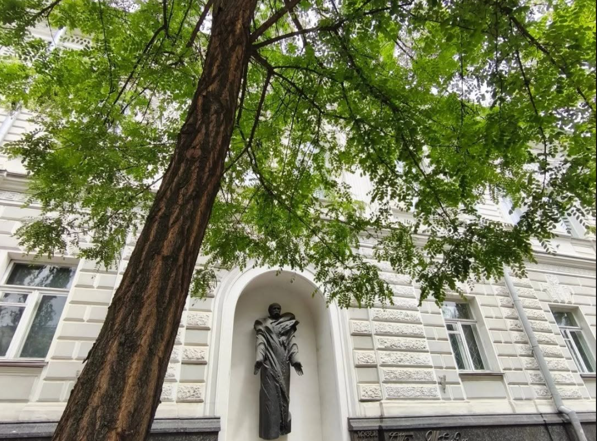 Де знаходиться музей Тараса Шевченка в Києві та чому його варто відвідати
