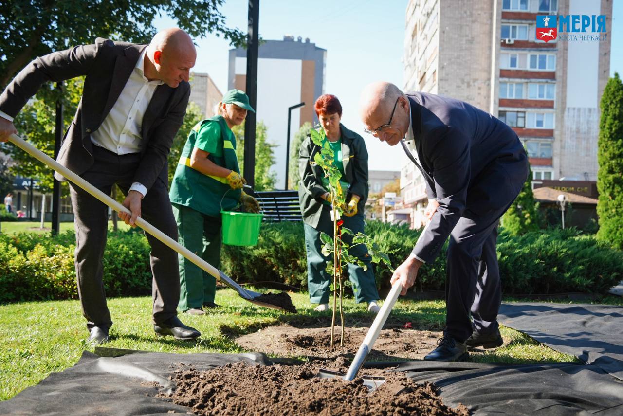 Липу з Німеччини посадили у Черкасах