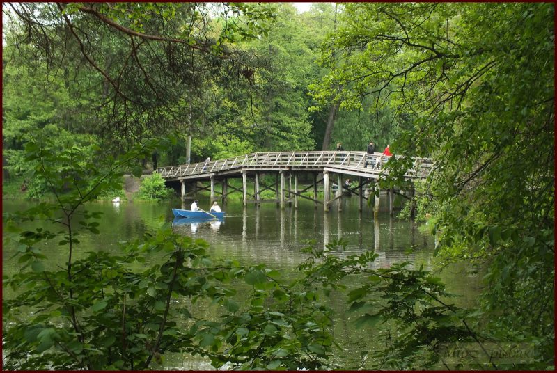 Пуща-Водиця: історія, пам’ятки, відпочинок і цікаві маршрути - фото 3