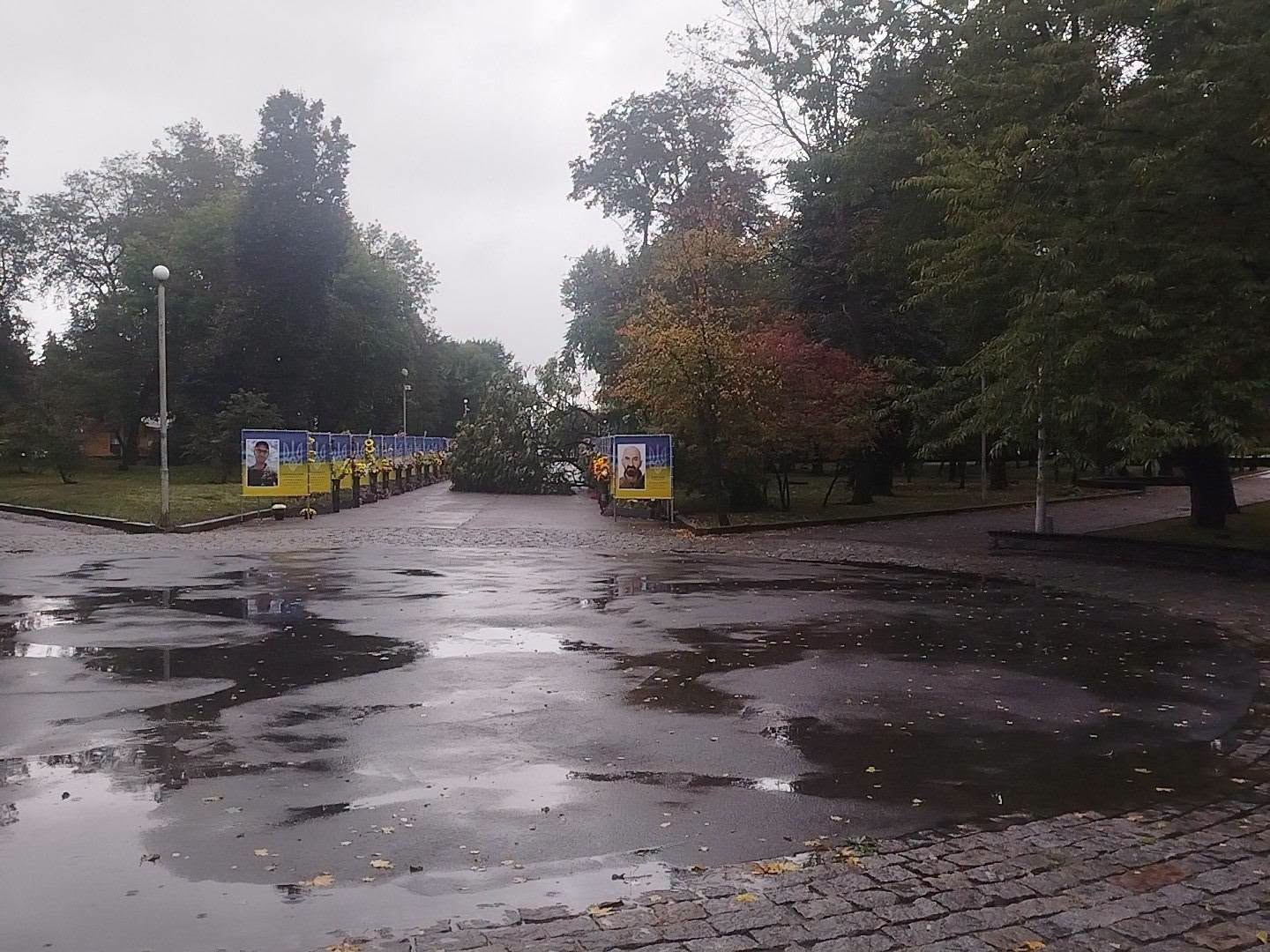 Негода повалила дерево на Алеї Героїв у Золотоноші