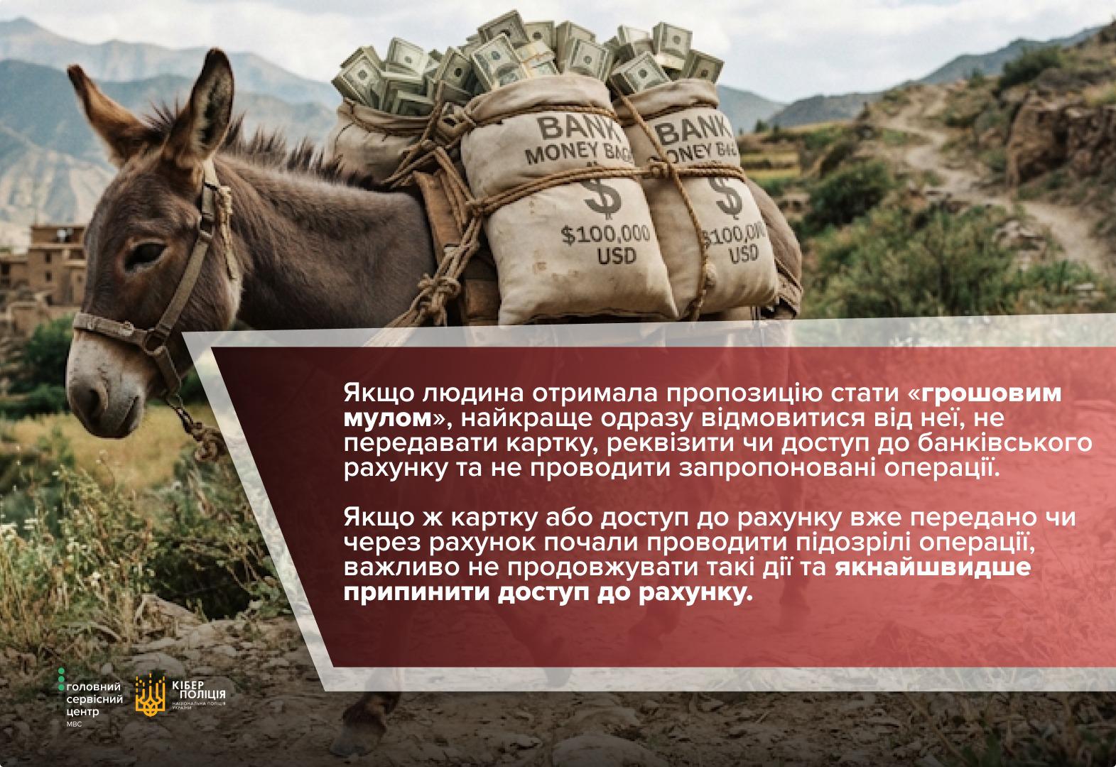 Фальшиві права та «легкий заробіток»: як шахраї використовують банківські картки українців - фото 2