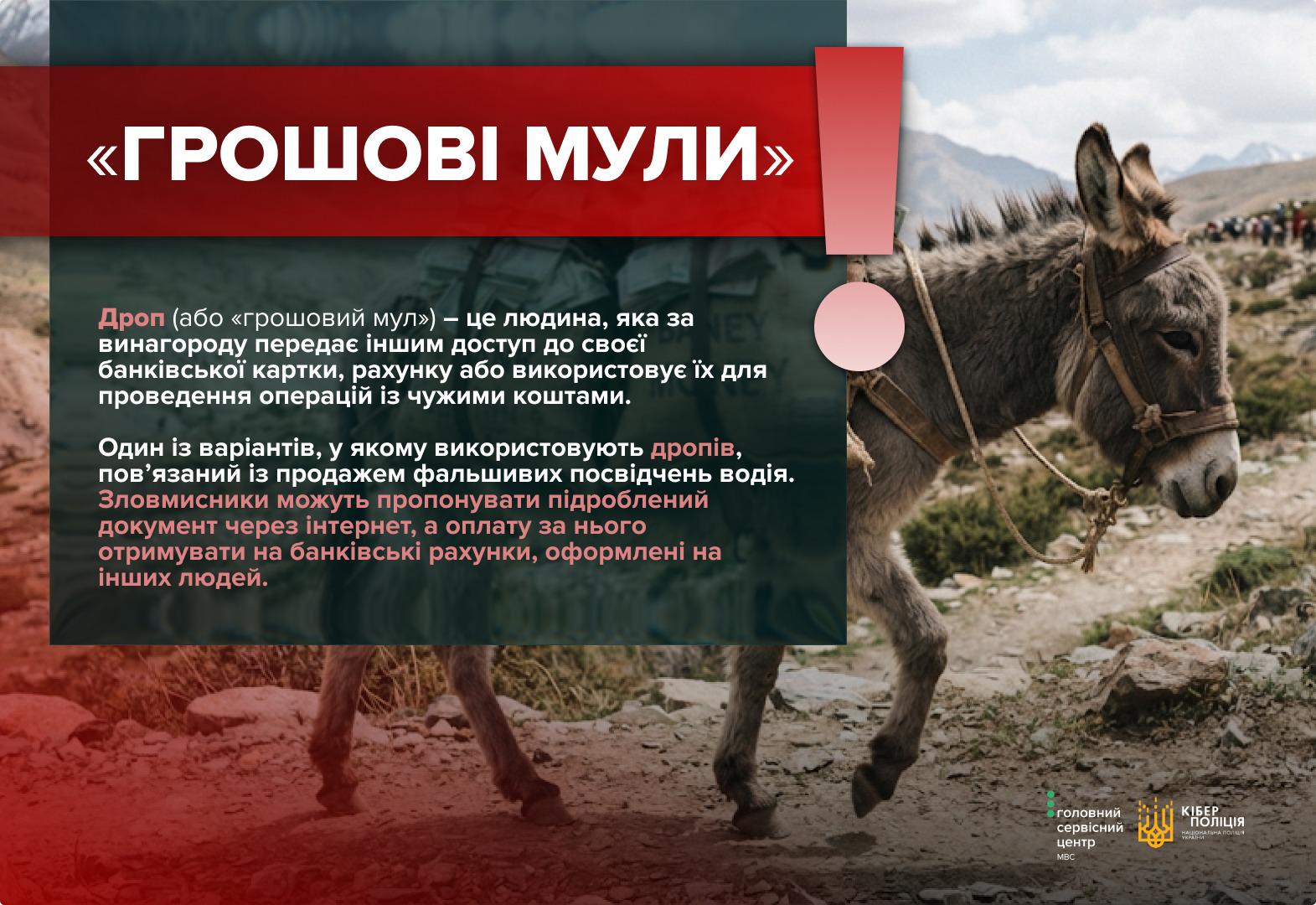 Фальшиві права та «легкий заробіток»: як шахраї використовують банківські картки українців
