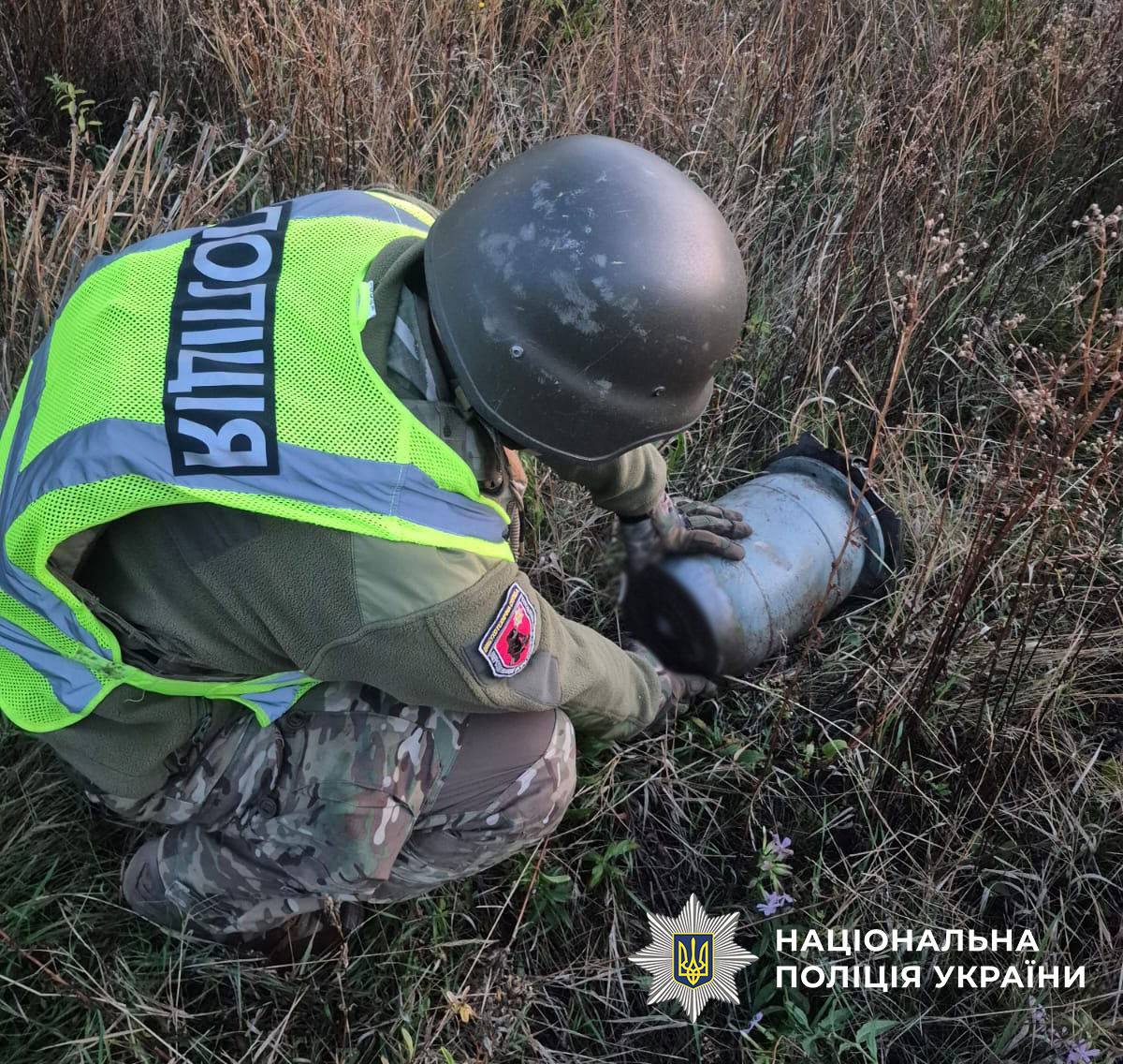 Вибухотехніки Києва знешкодили бойову частину російського БпЛА