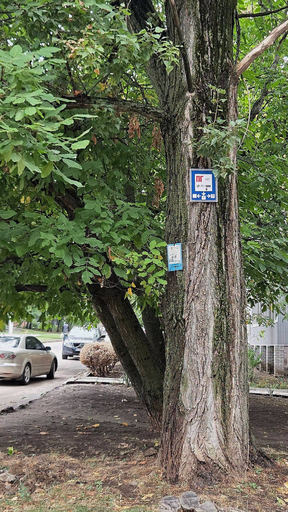 В Умані перевірили пожежні гідранти