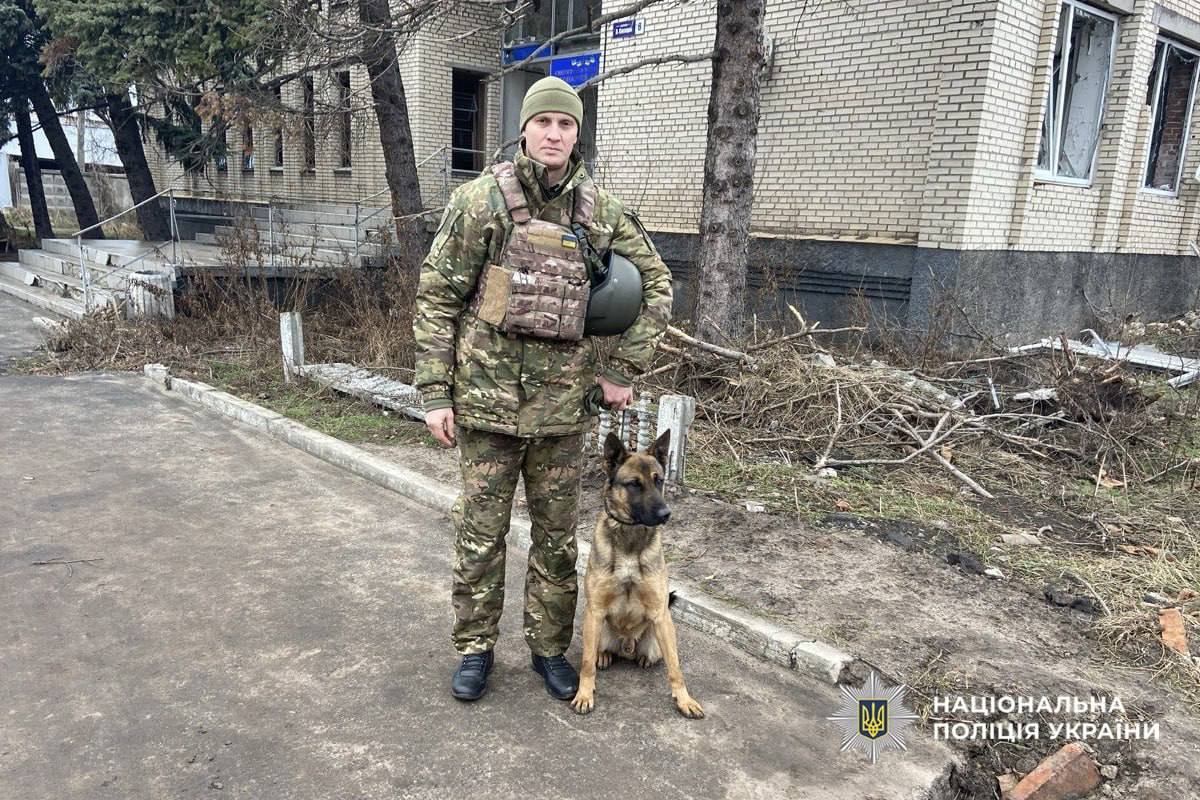 Служив біля фронту на Донеччині: бельгійський вівчар Флек тепер працює поліцейським собакою на Черкащині