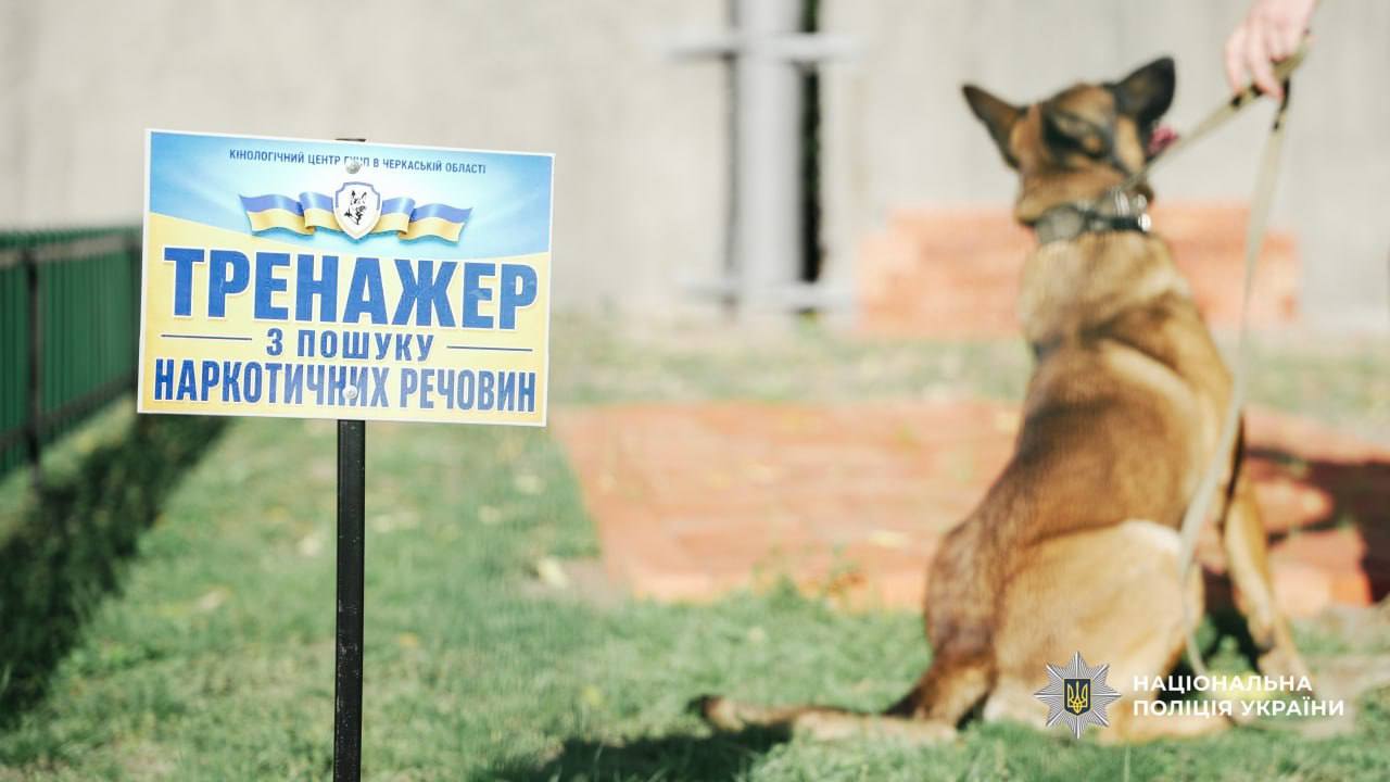 Служив біля фронту на Донеччині: бельгійський вівчар Флек тепер працює поліцейським собакою на Черкащині - фото 3