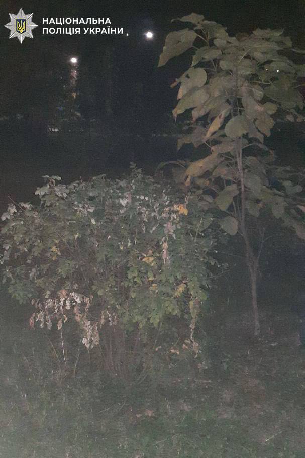 У Києві чоловік напав на дівчину в парку, побив та зґвалтував - фото 2