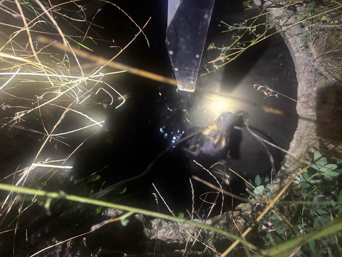 На Вінниччині дві школярки врятували собаку, яка впала в люк