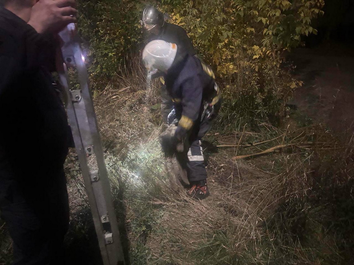 На Вінниччині дві школярки врятували собаку, яка впала в люк - фото 2