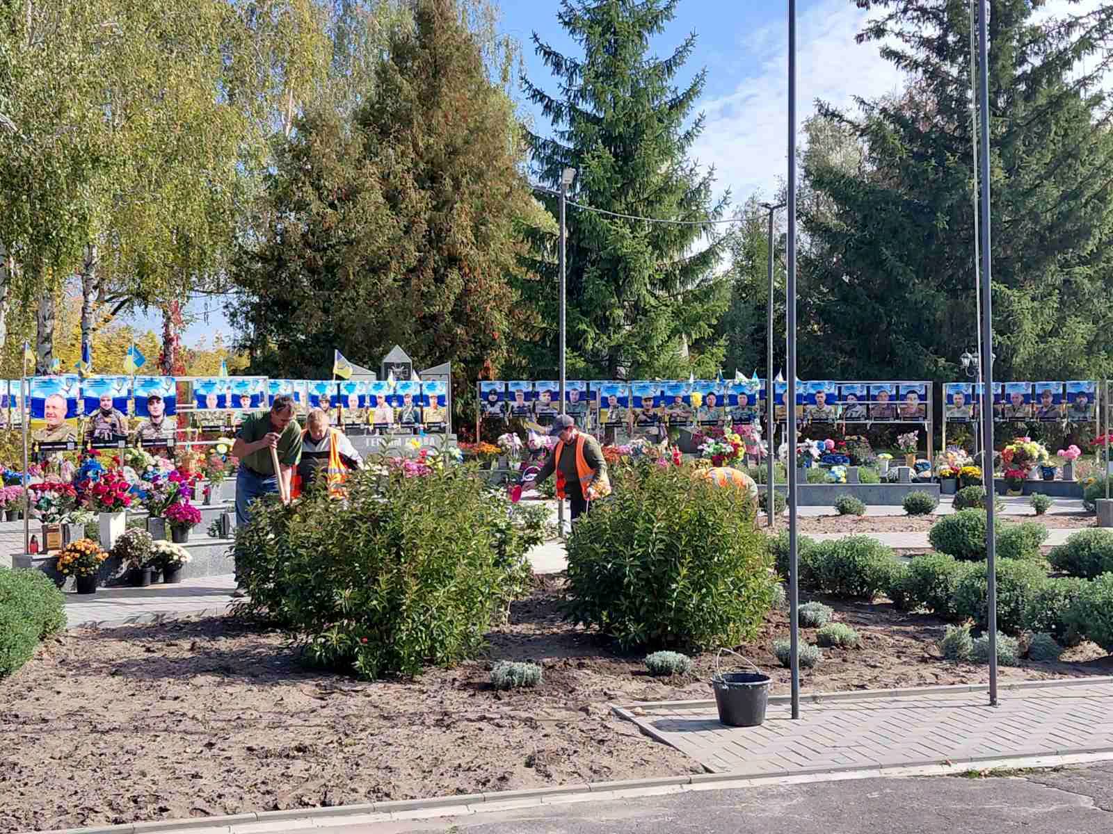 У Калинополі висадили майже сотню кущів лаванди