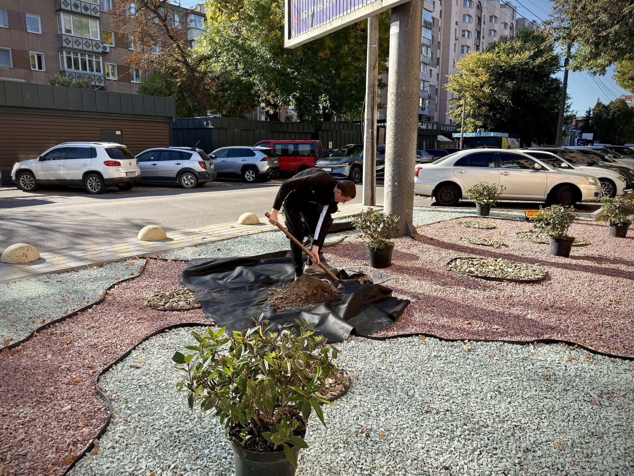 Замість хаотичного паркування — гортензії: у Черкасах впорядкували ділянку в центрі міста