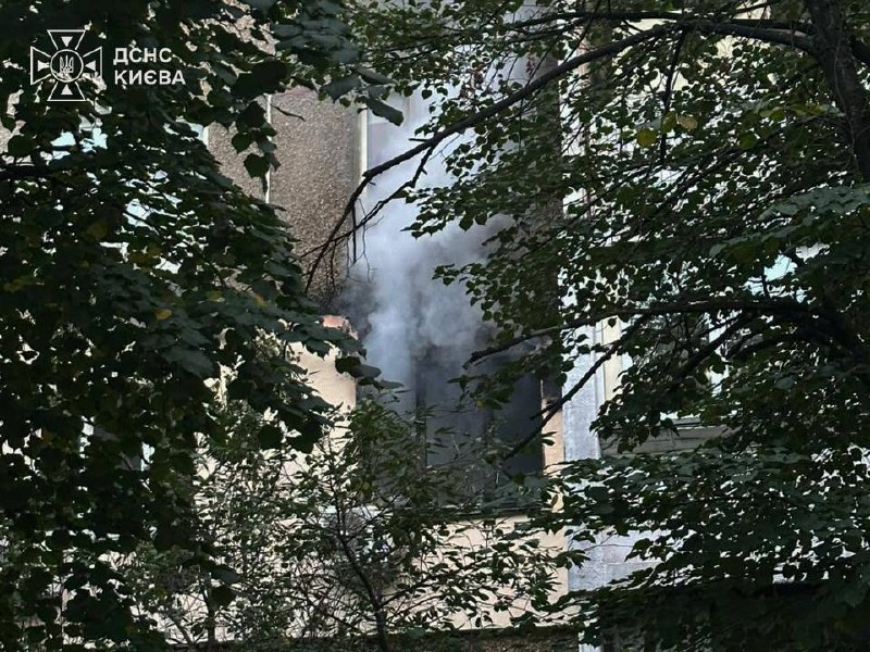 У Києві під час пожежі в багатоповерхівці врятували жінку, кота та собаку