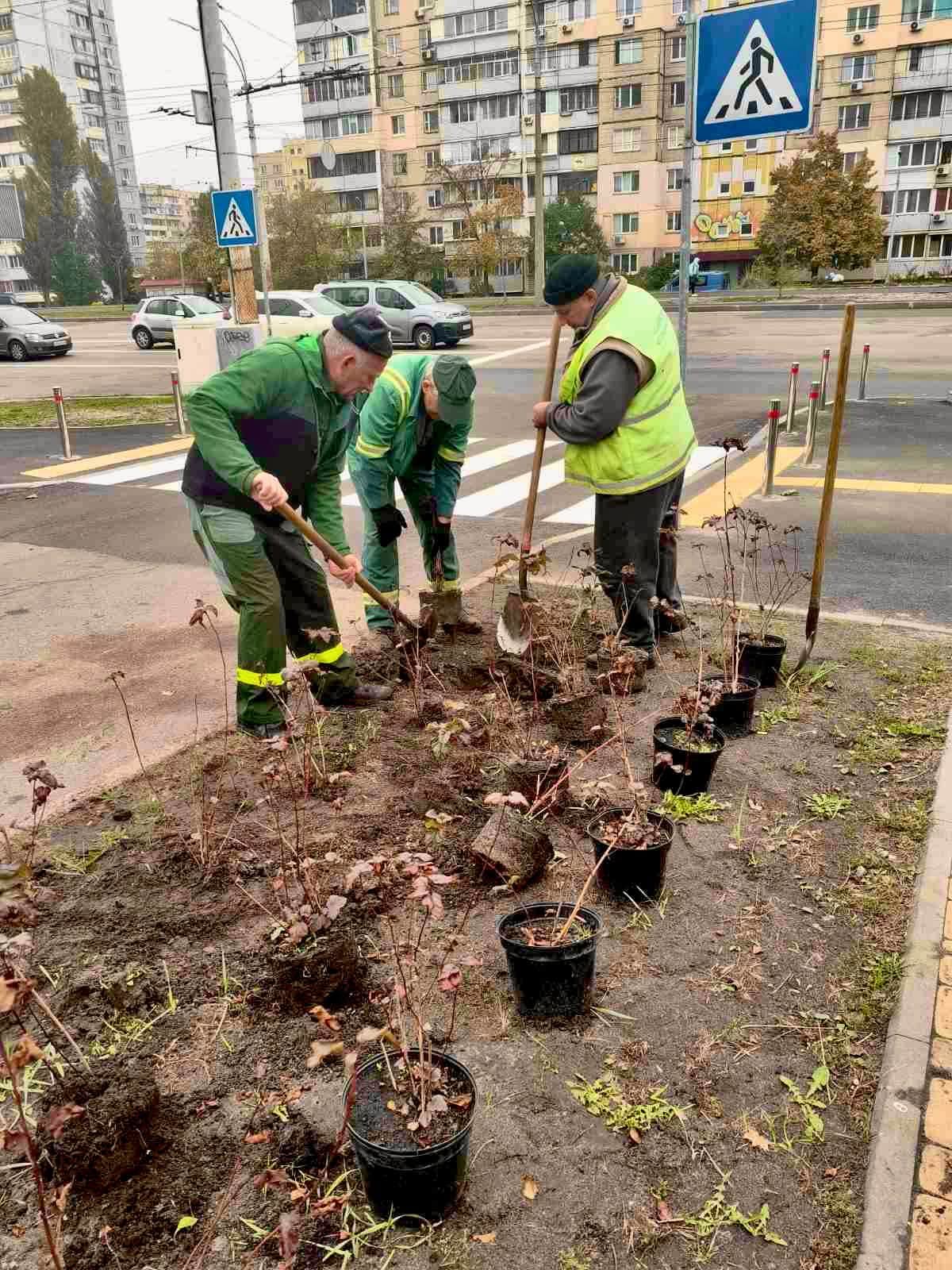 У парку «Фестивальний» в Києві висадили 64 пухироплідники