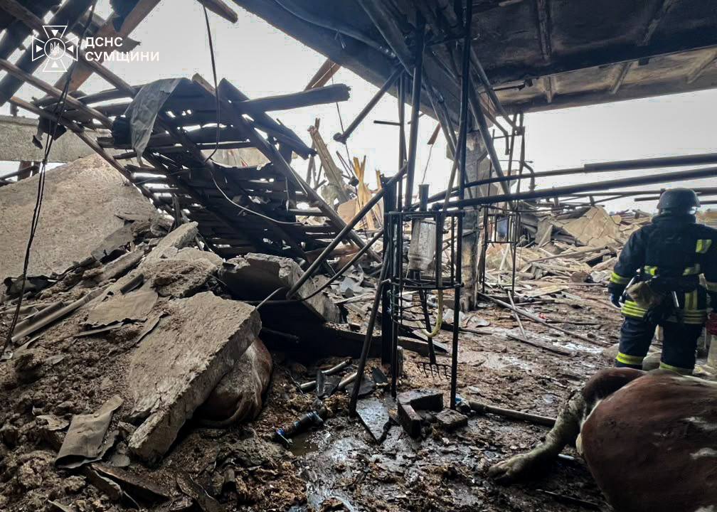 Під час обстрілу ферми на Сумщині загинула молода жінка і тварини - фото 2