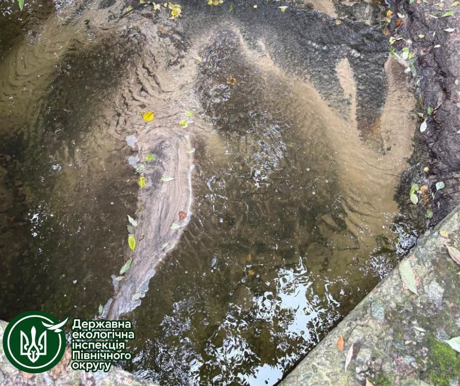 ДЕІ відібрала проби води в Оріхуватських ставках Києва через скарги містян