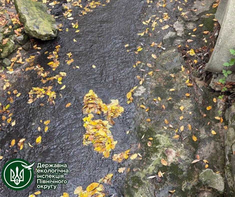 ДЕІ відібрала проби води в Оріхуватських ставках Києва через скарги містян - фото 2