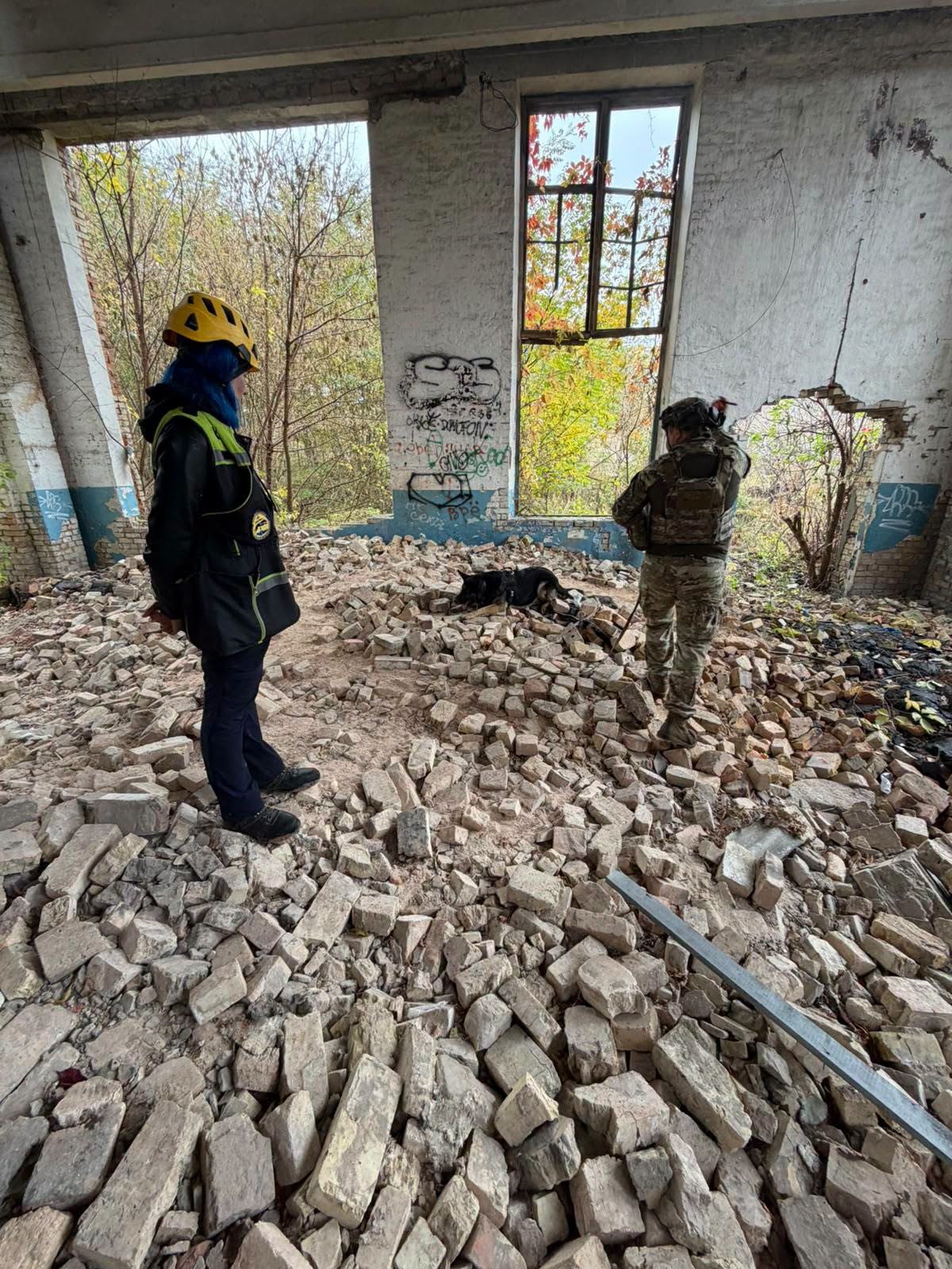Поліцейські кінологи Київщини та команда SARCan провели спільне тренування з пошуку людей на техногенних завалах - фото 3