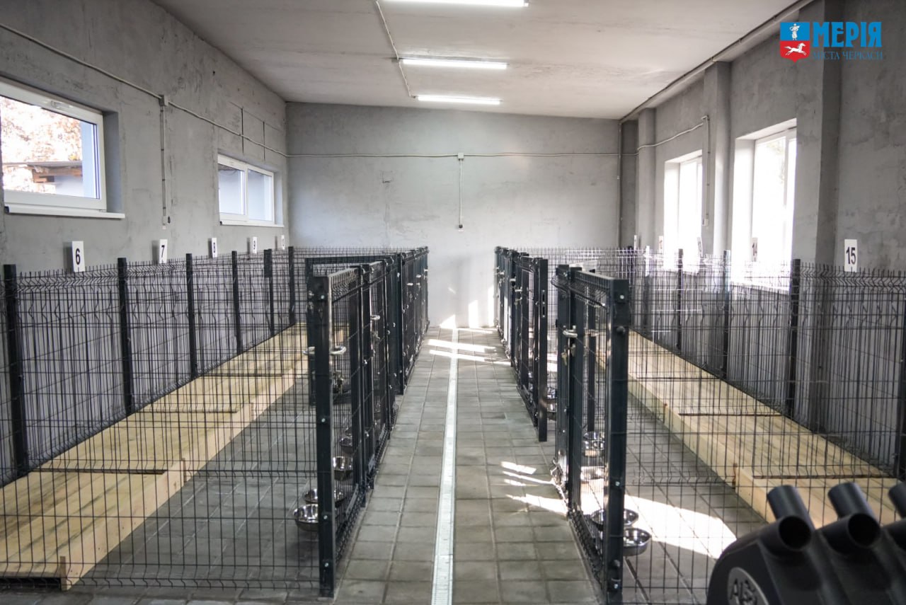 У черкаському Центрі допомоги тваринам облаштували опалюване приміщення на 80 собак - фото 2