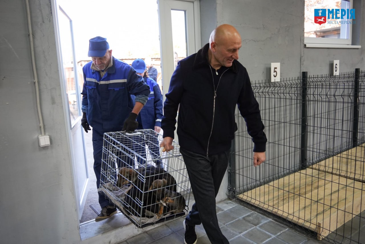 У черкаському Центрі допомоги тваринам облаштували опалюване приміщення на 80 собак - фото 4