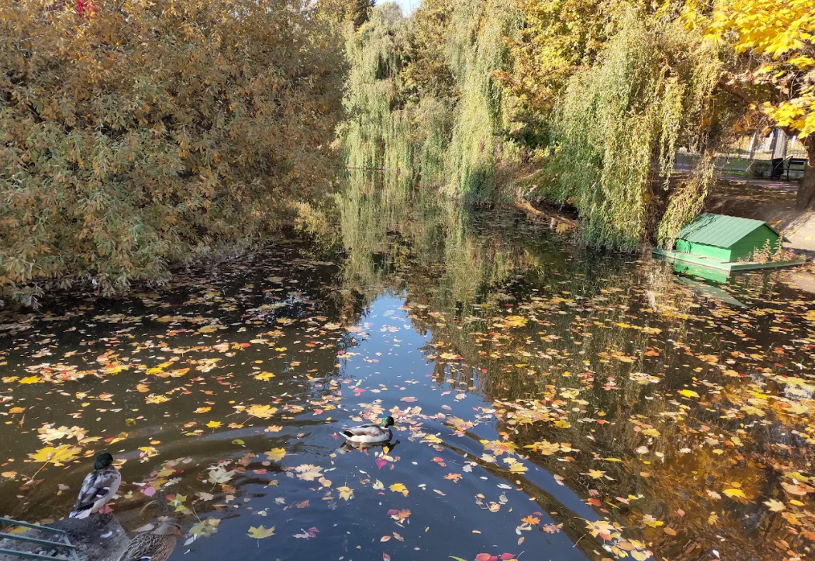 Пріорка в Києві: історія району, хата Шевченка та цікаві місця - фото 2